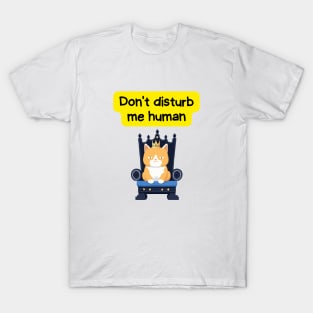 Cute Affirmation Cat - Don't disturb me human | Cat Meme | Cat Lover Gift | Law of Attraction | Positive Affirmation | Cat Love T-Shirt